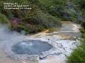 2007-0412Rotorua, NZ